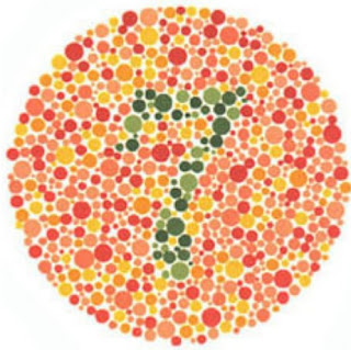 test buta warna 6 plate test buta warna 6 plate