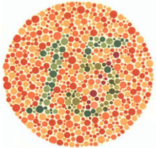 test buta warna 8 plate test buta warna 8 plate