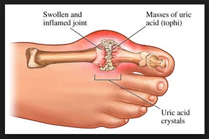 soal un biologi soal latihan biologi