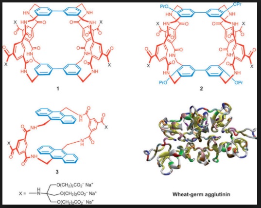 biologi soal latihan biologi