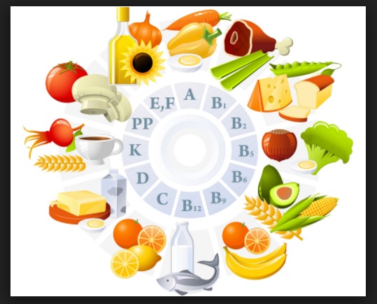 biologi soal latihan biologi