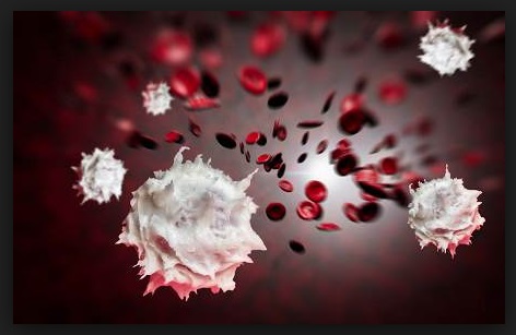 biologi latihan biologi